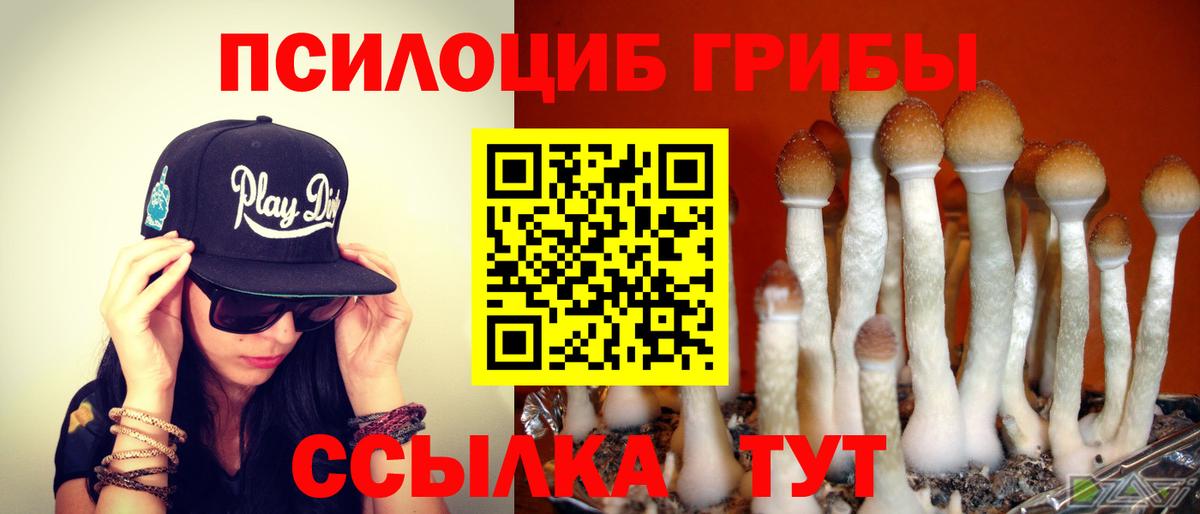 Псилоцибиновые грибы ЛСД  Вход с VPN  Дзержинский  Галлюциногенные грибы MAGIC MUSHROOMS 
